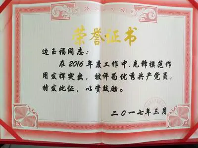 津龙公司党建工作获上级党组织好评