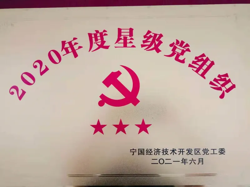 热烈祝贺公司党支部被评定“三星级党组织” 李静同志获表彰“优秀共产党员”